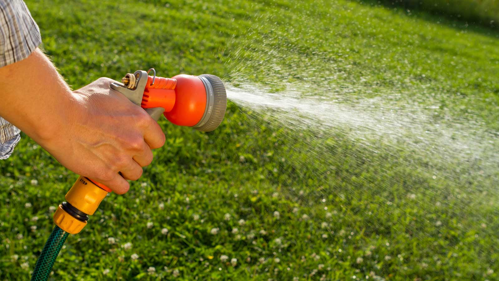 Water Gardening