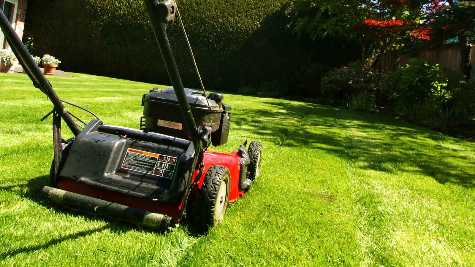 Lawn Care