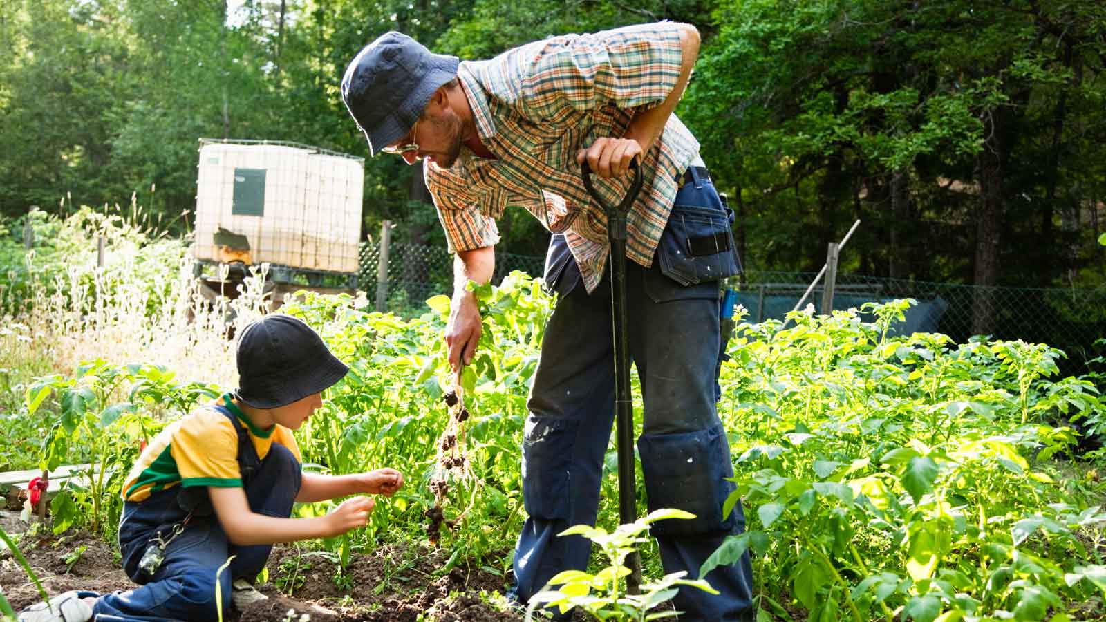 Growing & Caring for Your Garden!